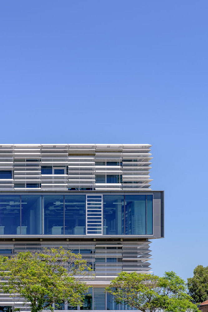 MLC School Burwood, by BVN. Photography by The Guthrie Project