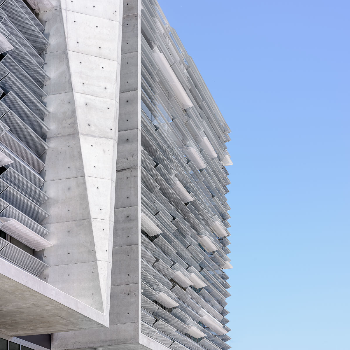 MLC School Burwood, by BVN. Photography by The Guthrie Project