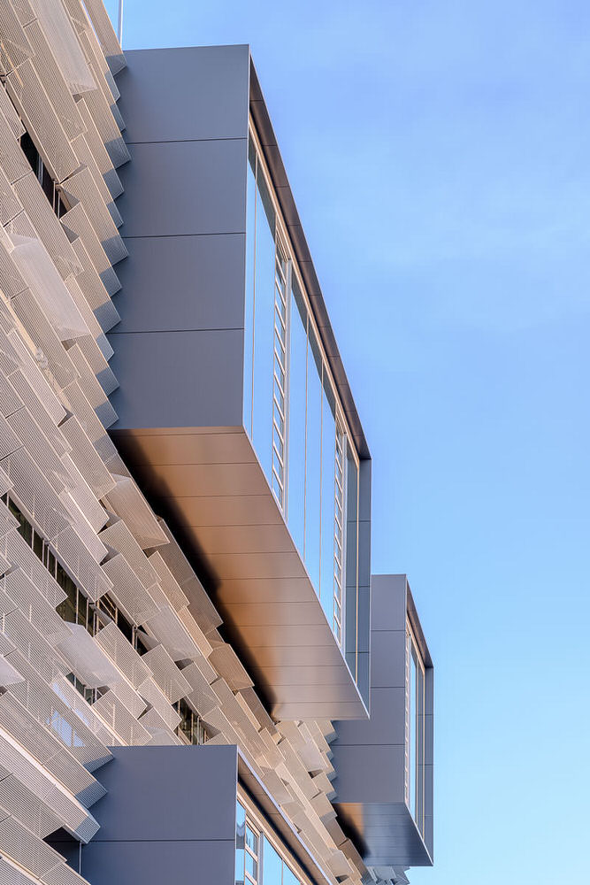 MLC School Burwood, by BVN. Photography by The Guthrie Project