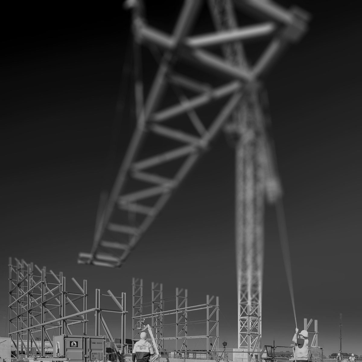 Dangrove Art Storage Facility - Construction Progress