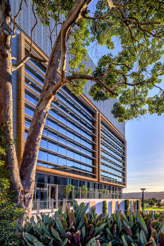 Mann Street Commercial Building, Gosford, by Group GSA. Photo by The Guthrie Project.