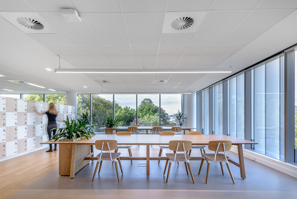 Mann Street Commercial Interior, Gosford, by Group GSA. Photo by The Guthrie Project.