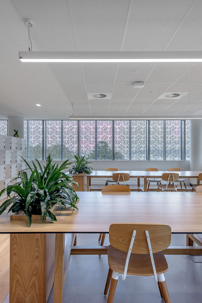 Mann Street Commercial Interior, Gosford, by Group GSA. Photo by The Guthrie Project.