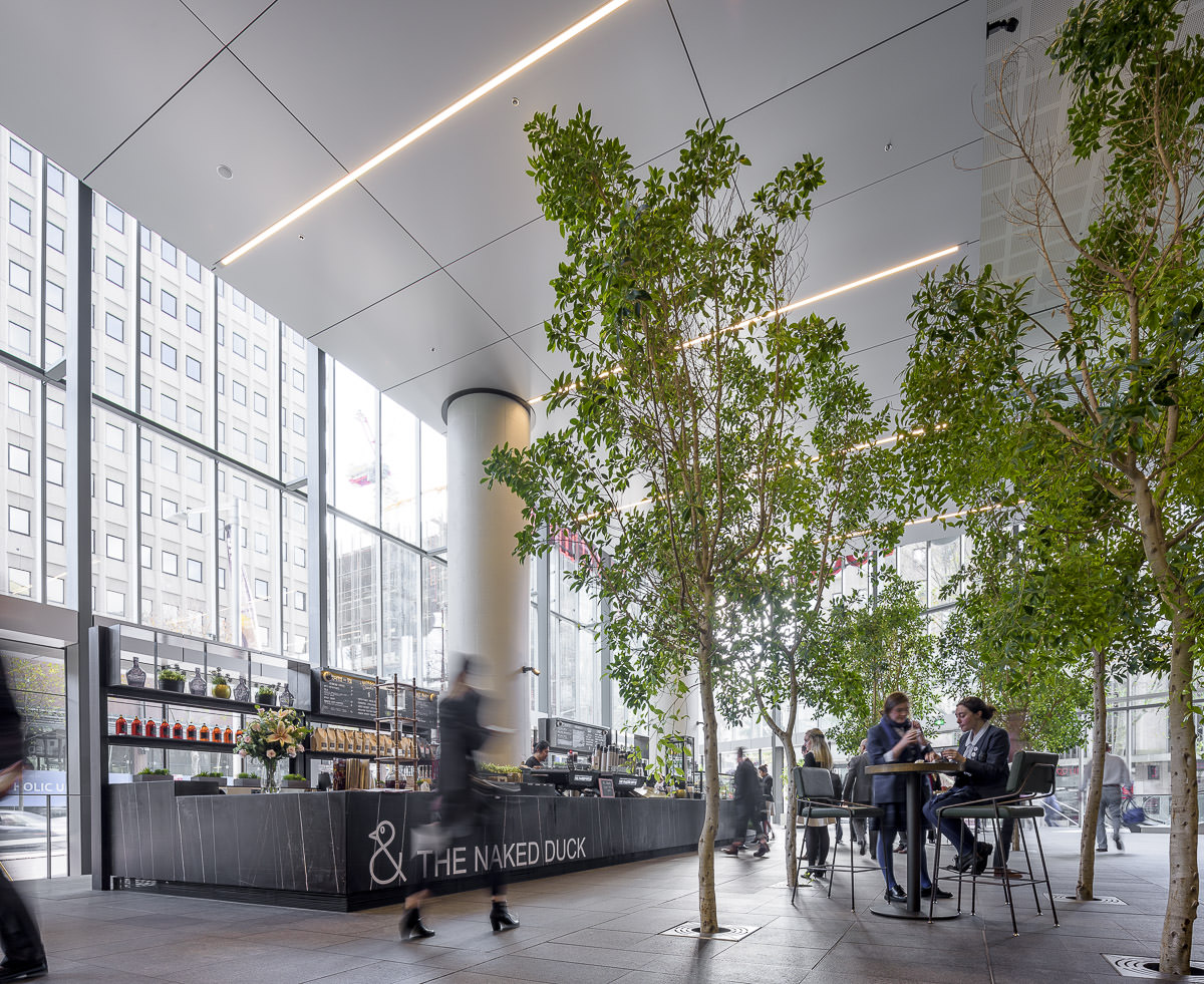 Naked Duck Café Fitout, North Sydney, by Humphrey + Edwards Architects