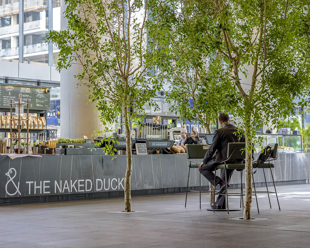 Naked Duck Café Fitout, North Sydney, by Humphrey + Edwards Architects