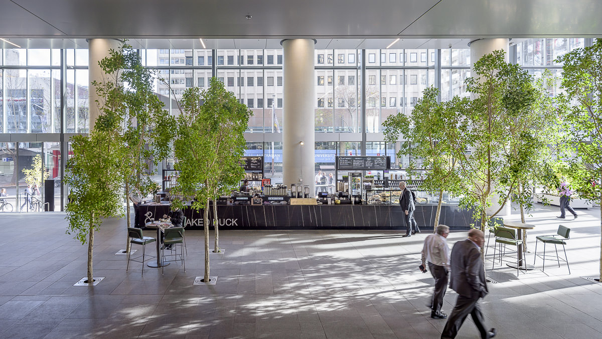 Naked Duck Café Fitout, North Sydney, by Humphrey + Edwards Architects