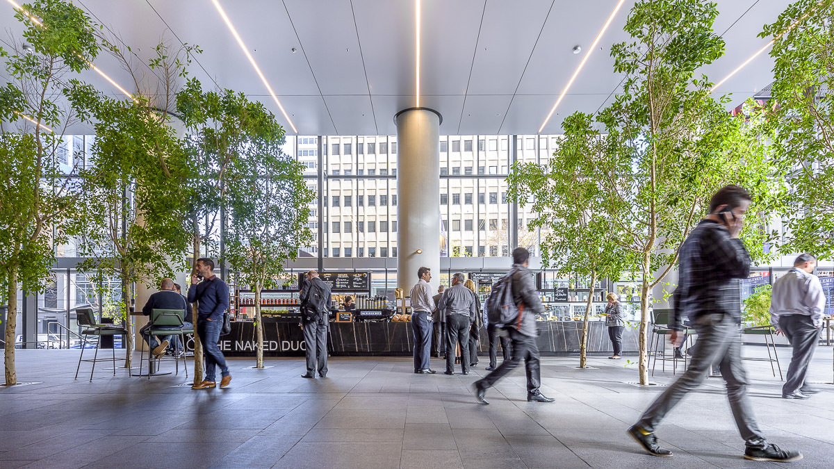 Naked Duck Café Fitout, North Sydney, by Humphrey + Edwards Architects