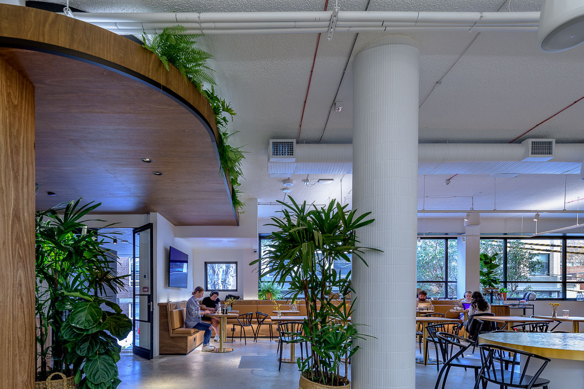 Canva Offices, Surry Hills. Construction by Infinity, Architecture by Candalepas Associates.