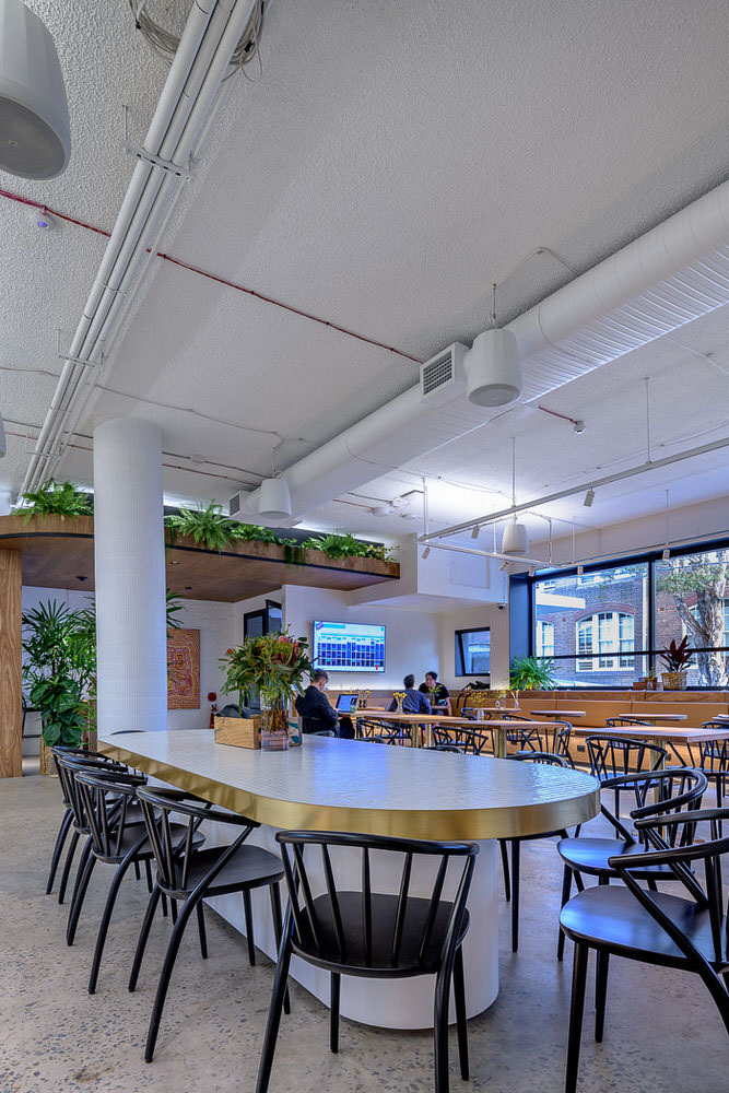 Canva Offices, Surry Hills. Construction by Infinity, Architecture by Candalepas Associates.