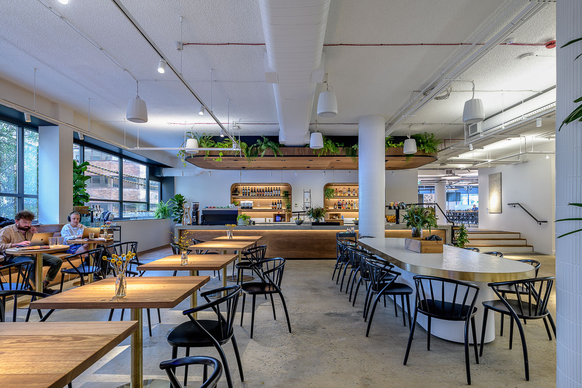 Canva Offices, Surry Hills. Construction by Infinity, Architecture by Candalepas Associates.
