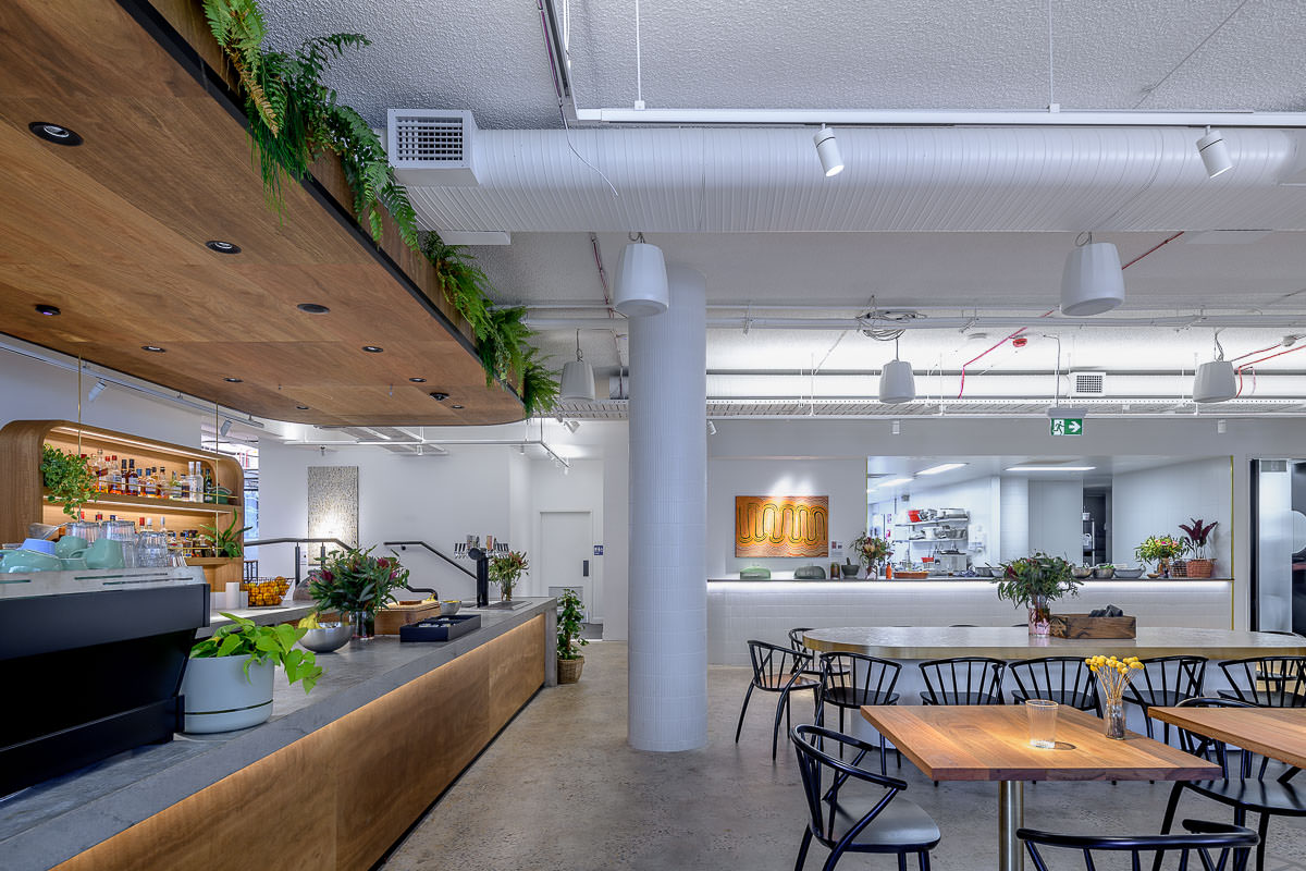 Canva Offices, Surry Hills. Construction by Infinity, Architecture by Candalepas Associates.