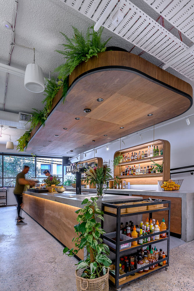 Canva Offices, Surry Hills. Construction by Infinity, Architecture by Candalepas Associates.