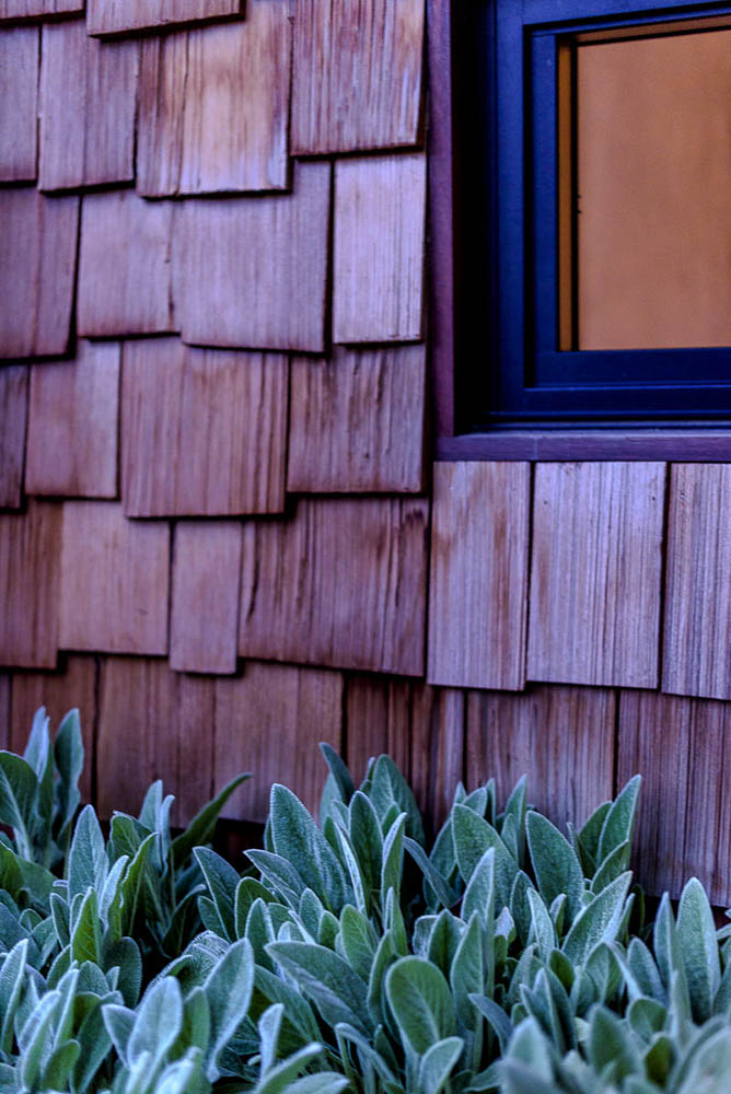 Artist Garden Studio, Dulwich Hill, by MAKO Architecture