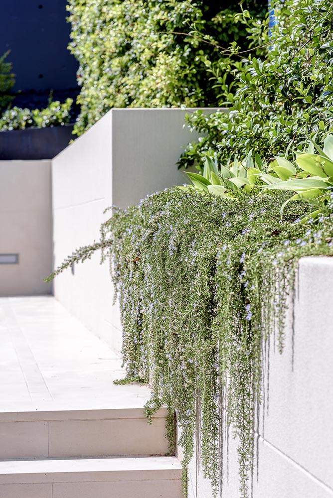 Dover Heights House, by MASQ Architecture and Orbit Building