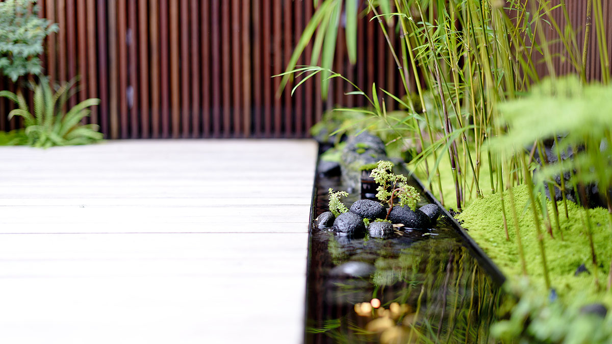 Darlinghurst Zen House, by Paul King, Adam Simpson & Mandy Leeyy