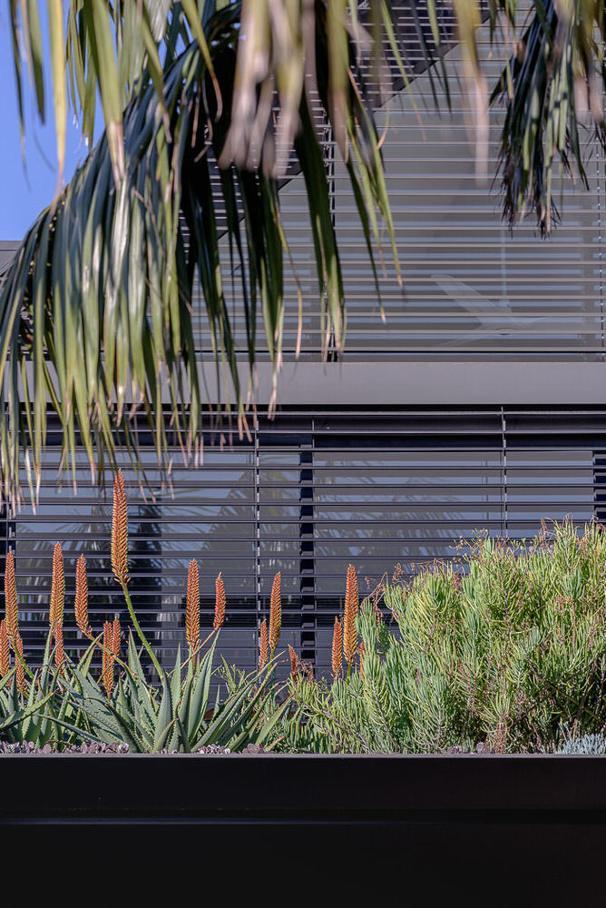 Gable House, Bondi, by Potter & Wilson Architects