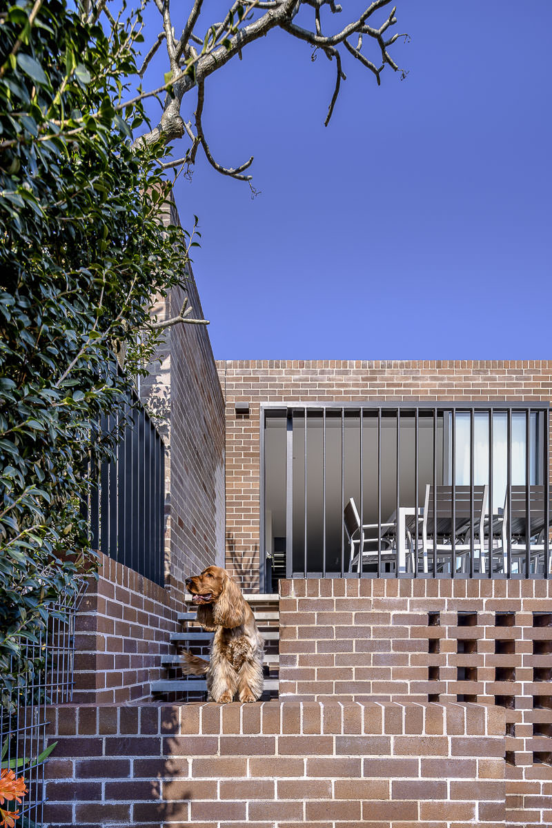 Raglan St Mosman House, by Potter & Wilson Architects