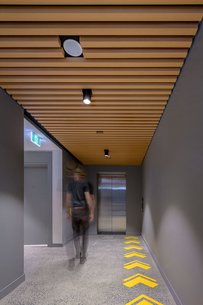 Ironbark Apartments, Glebe, by Scott Carver & City West Housing, Photography by The Guthrie Project