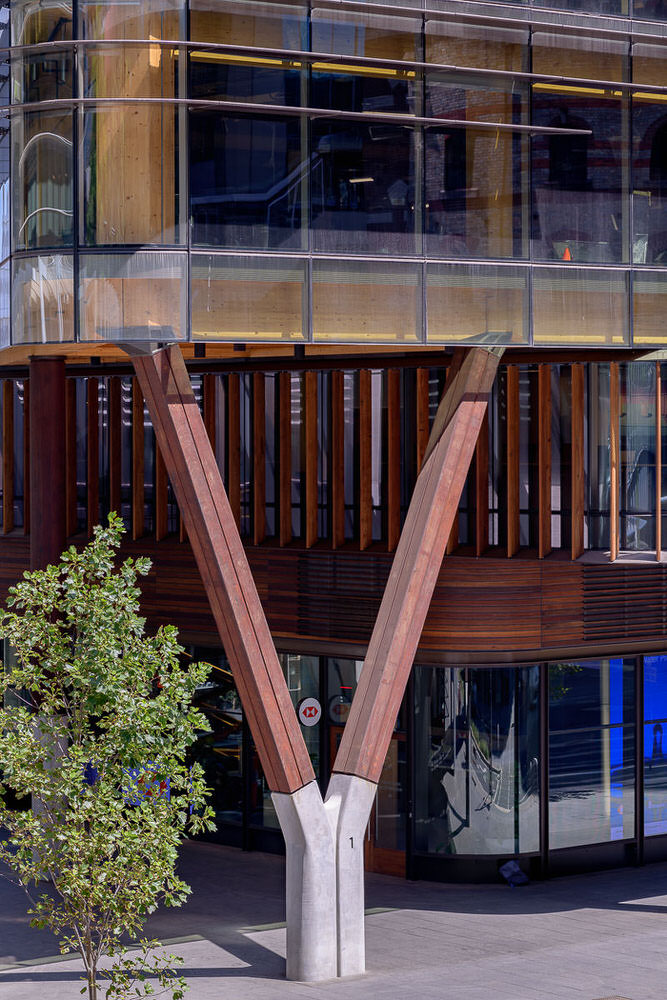 Barangaroo Daramu House - by Tzannes, Architectural Photography by The Guthrie Project