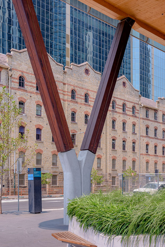 Barangaroo Daramu House - by Tzannes, Architectural Photography by The Guthrie Project