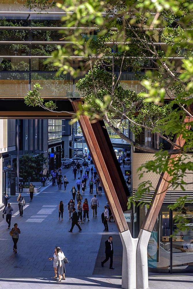 Barangaroo International House - by Tzannes