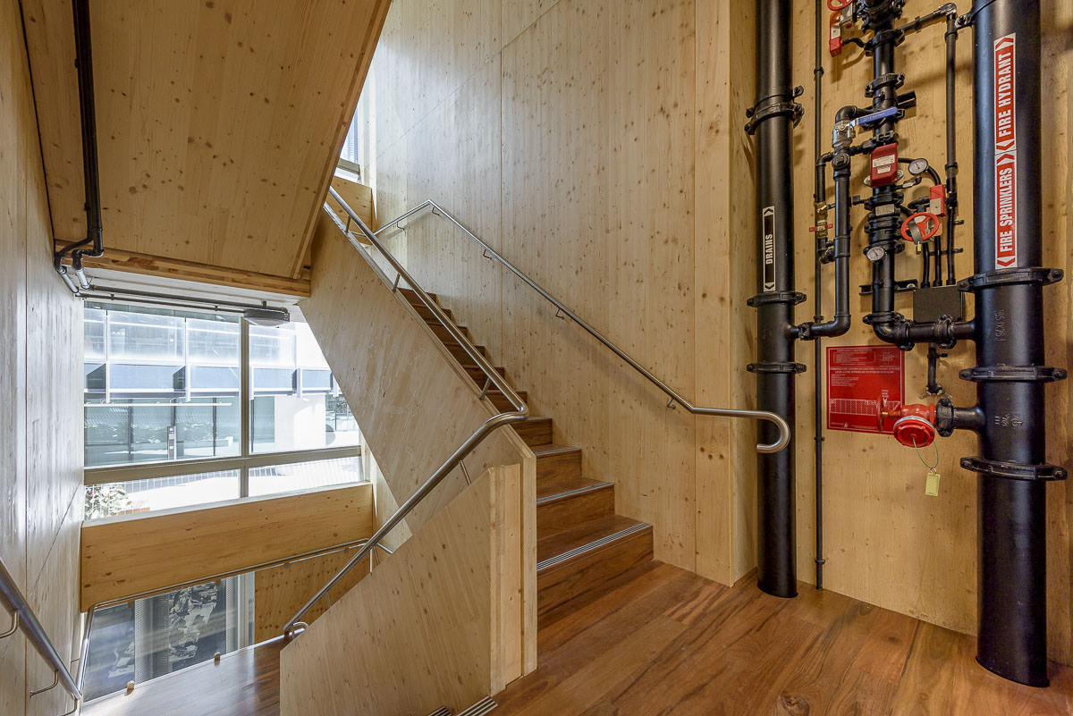 Barangaroo International House Interior - by Tzannes