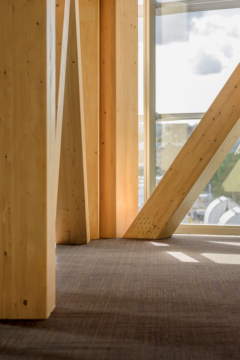 Barangaroo International House Interior - by Tzannes