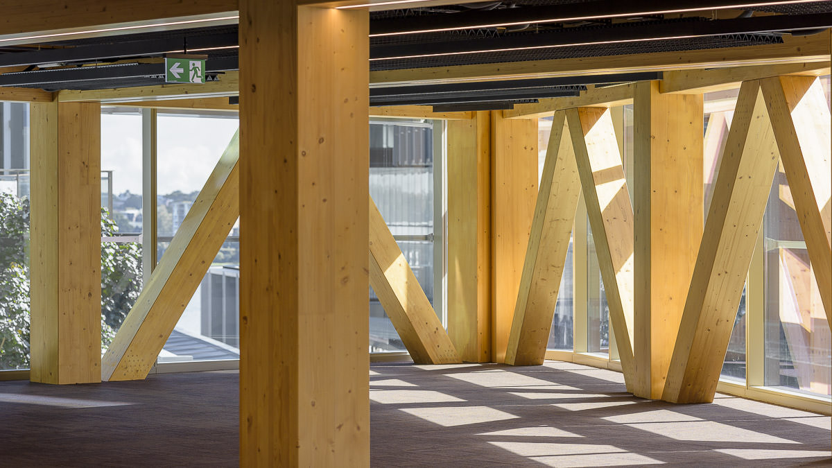 Barangaroo International House Interior - by Tzannes
