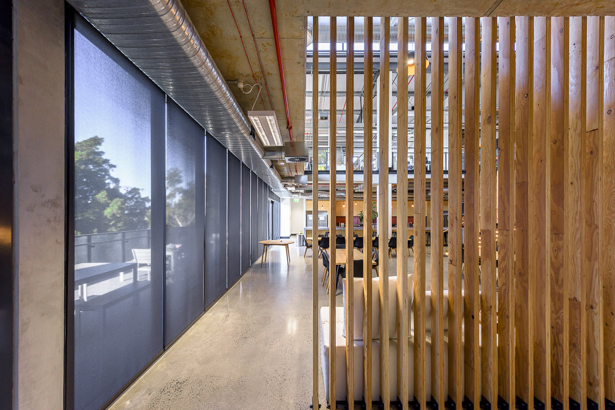 Bowden Street Commercial Building, by Tzannes Architects & Infinity Constructions