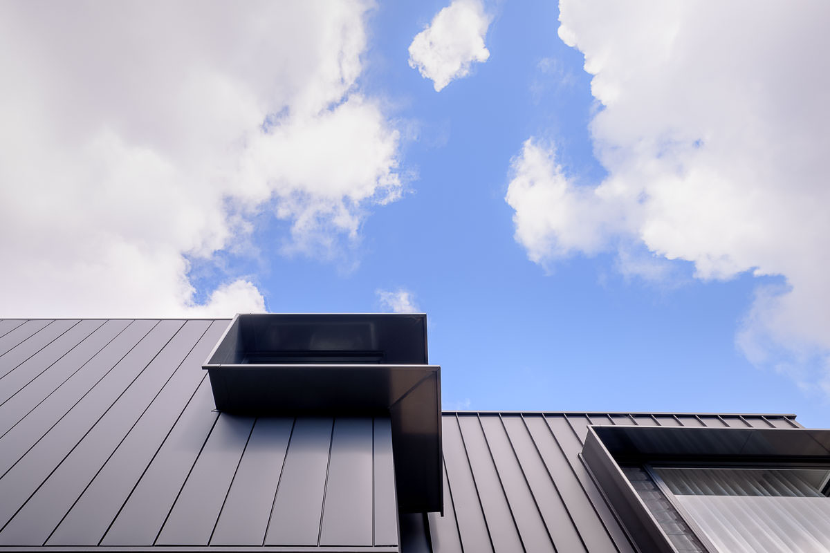 Randwick House, by Vialii Architects and iBuild & Co, Architectural Photography by The Guthrie Project