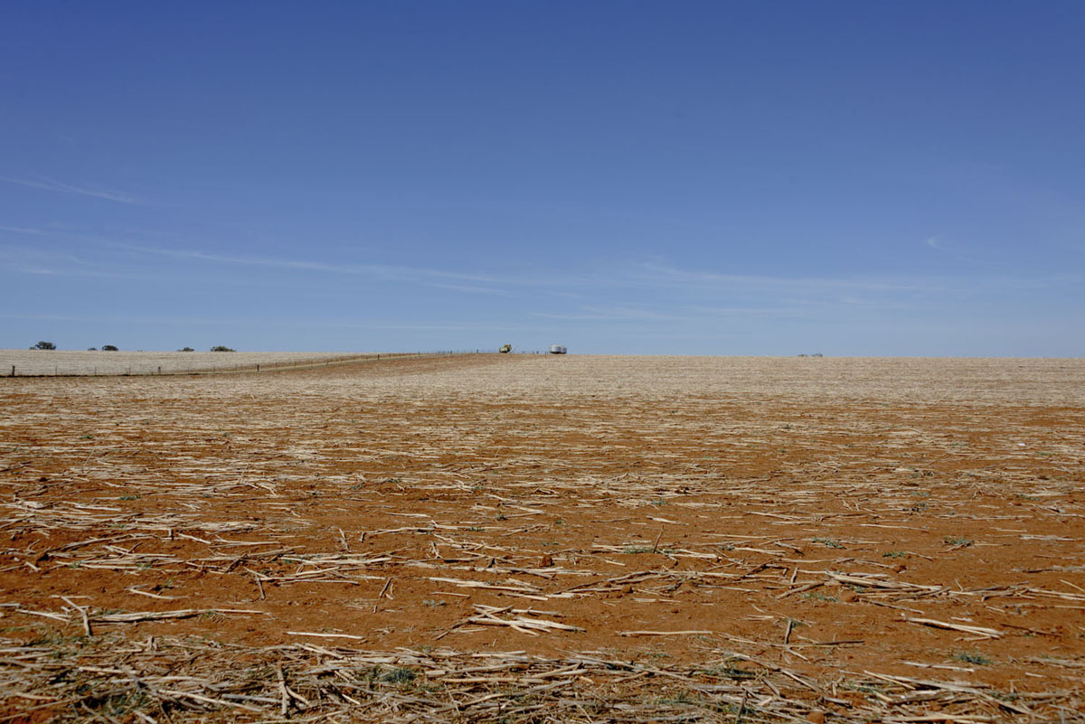 Australian Rural Landscape, Somewhere Outside Cowra, NSW