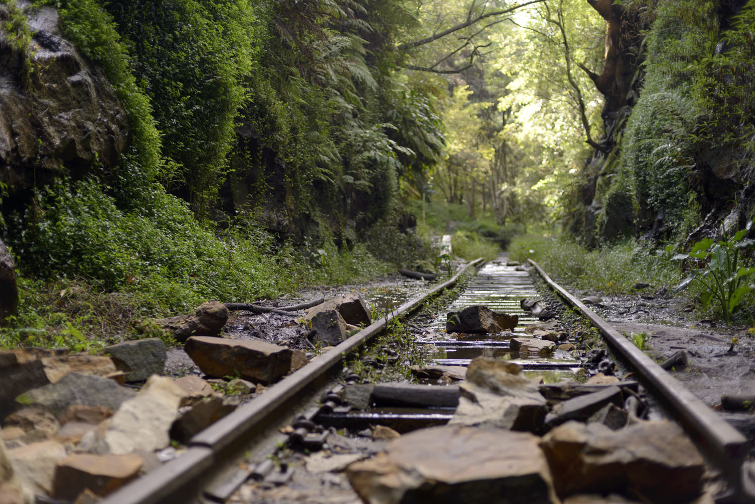 Abandoned Helensburgh Metropolitan Railway Station, 2015