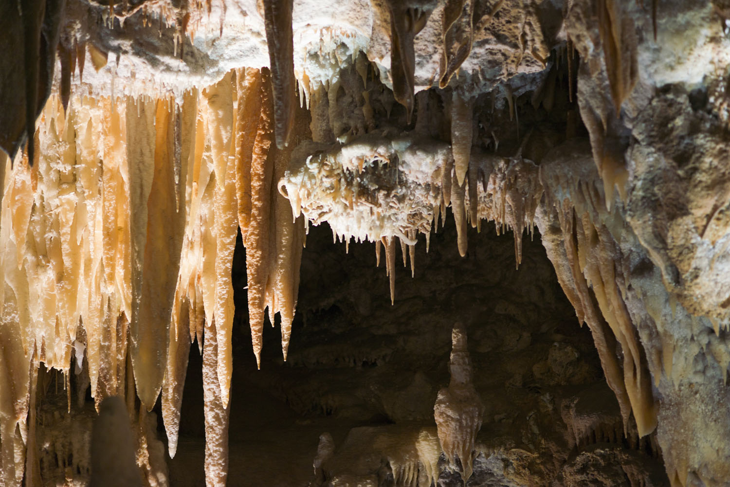 The Lucas Cave, Jenolan Caves NSW