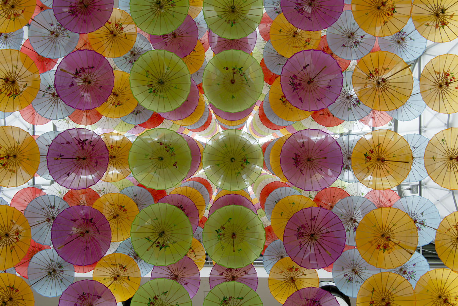 Market City Umbrellas, Chinatown Sydney, August 2014