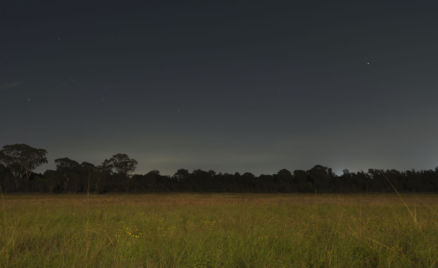 Bungarribee Bushscape