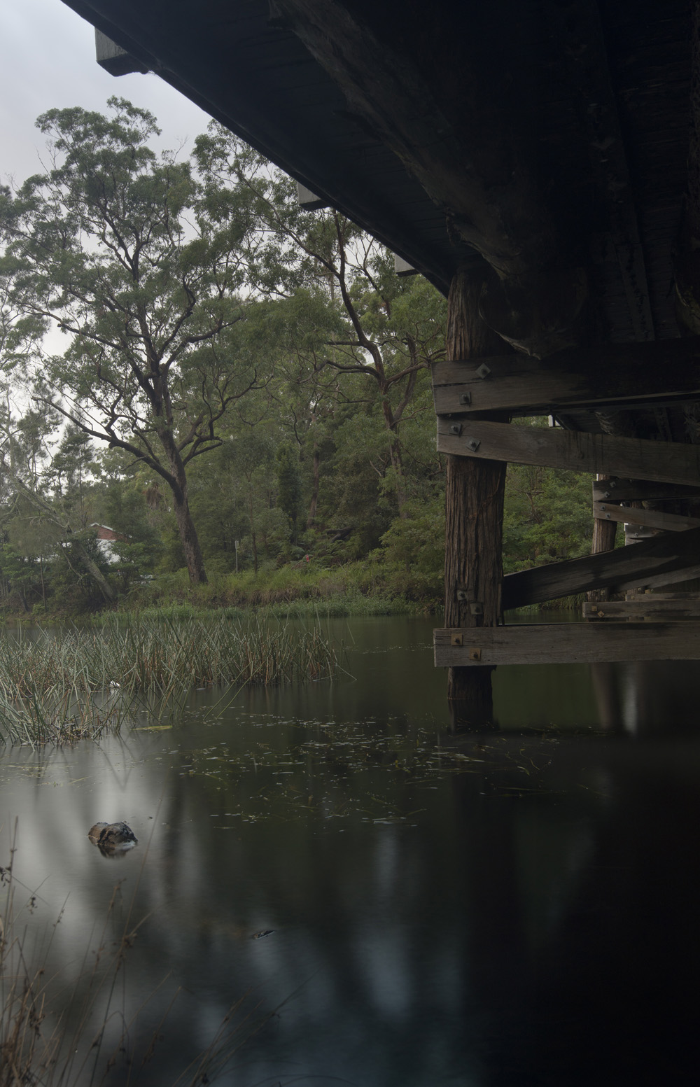 Bridge, Audley, Royal National Park, NSW